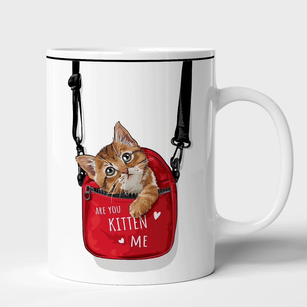 Are you Kitten me | Mug