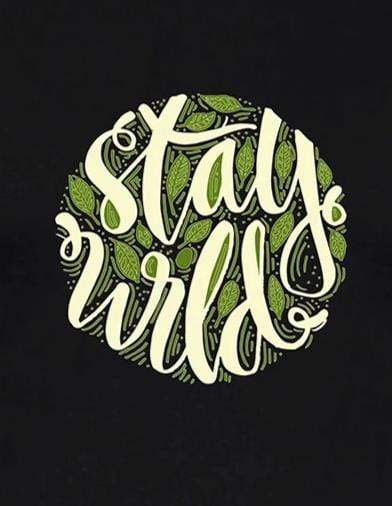 Stay Wild Travel | Men's Raglan T-Shirts